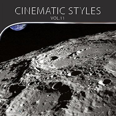 CINEMATIC STYLES 11(オンライン納品)(2時間以内に納品)