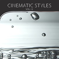 CINEMATIC STYLES 13