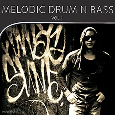 MELODIC DRUM N BASS(オンライン納品)(2時間以内に納品)