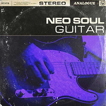 TOUCH LOOPS NEO SOUL GUITARS(オンライン納品)(2時間以内に納品)