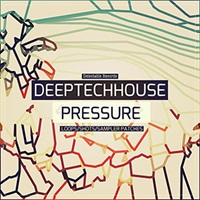 DEEP TECH HOUSE PRESSURE(オンライン納品)(2時間以内に納品)