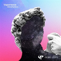 VAPORWAVE AESTHETICS(オンライン納品)(2時間以内に納品)