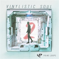 VINYLISTIC SOUL 2(オンライン納品)(2時間以内に納品)