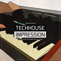 TECH HOUSE IMPRESSION(オンライン納品)(2時間以内に納品)