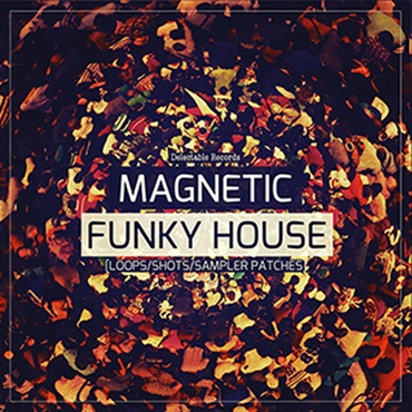 DELECTABLE RECORDS MAGNETIC FUNKY HOUSE(オンライン納品)(2時間以内に納品)