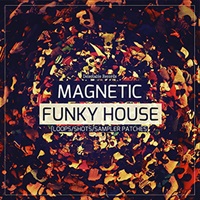 MAGNETIC FUNKY HOUSE(オンライン納品)(2時間以内に納品)