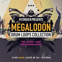MEGALODON DRUM LOOPS COLLECTION(オンライン納品)(2時間以内に納品)