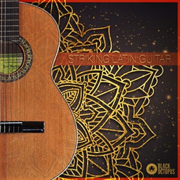 STRIKING LATIN GUITAR(オンライン納品)(2時間以内に納品)