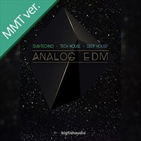 ANALOG EDM MMT