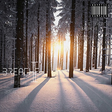 KRYPTIC BREATHE 2(オンライン納品)(2時間以内に納品)