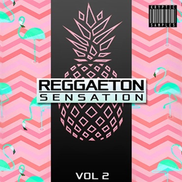 REGGAETON SENSATION VOL 2(オンライン納品)(2時間以内に納品)