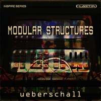 MODULAR STRUCTURES(オンライン納品)(2時間以内に納品)
