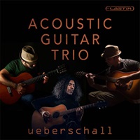 ACOUSTIC GUITAR TRIO(オンライン納品)(2時間以内に納品)