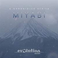 CHRONICLES MIYABI(オンライン納品)(2時間以内に納品)