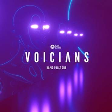 BLACK OCTOPUS RAPID PULSE DNB - VOICIANS(オンライン納品)(2時間以内に納品)