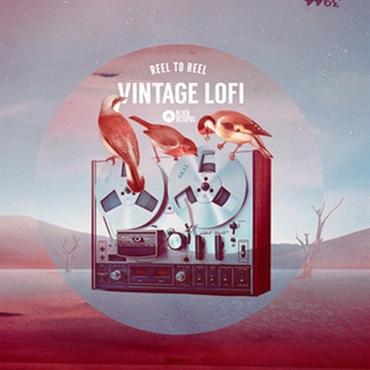 REEL TO REEL - VINTAGE LOFI(オンライン納品)(2時間以内に納品)