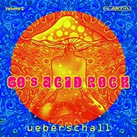 60s ACID ROCK VOL. 2(オンライン納品)(2時間以内に納品)