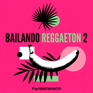 BAILANDO REGGAETON 2(オンライン納品)(2時間以内に納品)