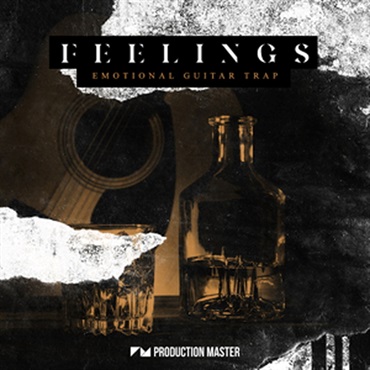 PRODUCTION MASTER FEELINGS - EMOTIONAL GUITAR TRAP(オンライン納品)(2時間以内に納品)