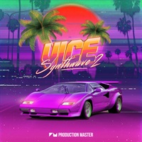 VICE 2 - SYNTHWAVE(オンライン納品)(2時間以内に納品)