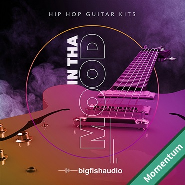 IN THA MOOD - HIP HOP GUITAR KITS MMT(オンライン納品)(2時間以内に納品)