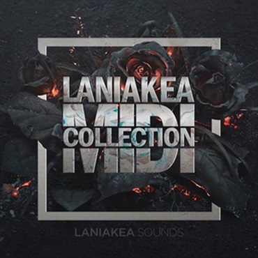 LANIAKEA MIDI COLLECTION(オンライン納品)(2時間以内に納品)