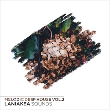 LANIAKEA SOUNDS MELODIC DEEP HOUSE VOL 2(オンライン納品)(2時間以内に納品)