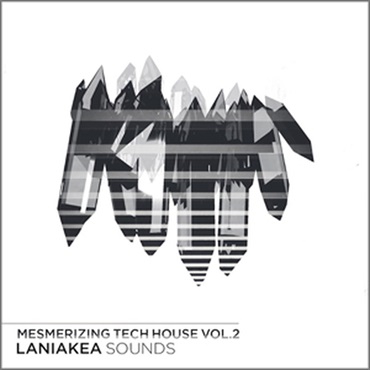 MESMERIZING TECH HOUSE VOL 2(オンライン納品)(2時間以内に納品)
