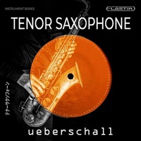 TENOR SAXOPHONE(オンライン納品)(2時間以内に納品)