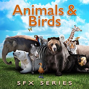 SOUND IDEAS 【サウンドイデアマンスリーセール！】ANIMALS & BIRDS SFX SERIES(オンライン納品)(2時間以内に納品)