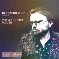 RODRIGUEZ JR. - POLYCHROMIC HOUSE