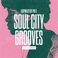 SOUL CITY GROOVES