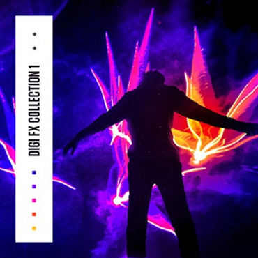 DIGINOIZ DIGI FX COLLECTION 1(オンライン納品)(2時間以内に納品)