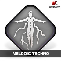 MELODIC TECHNO(オンライン納品)(2時間以内に納品)