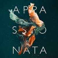 SPITFIRE APPASSIONATA STRINGS(オンライン納品)(2時間以内に納品)