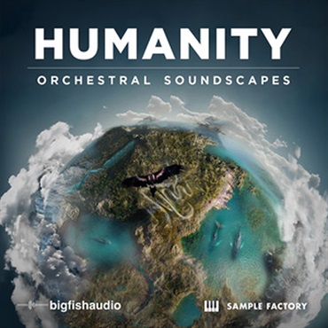 BIG FISH AUDIO HUMANITY: ORCHESTRAL SOUNDSCAPES(オンライン納品)(2時間以内に納品)