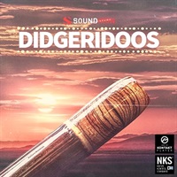 【サマーセール！対象製品50%OFF！】DIDGERIDOOS(オンライン納品)(2時間以内に納品)