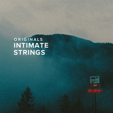 SPITFIRE AUDIO ORIGINALS INTIMATE STRINGS(オンライン納品)(2時間以内に納品)