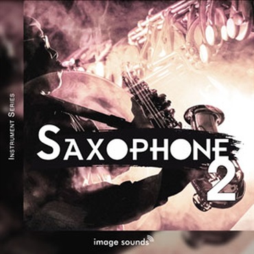 SAXOPHONE 2(オンライン納品)(2時間以内に納品)