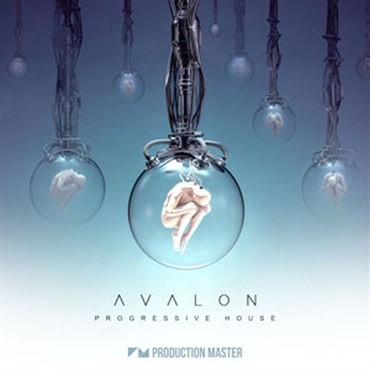 PRODUCTION MASTER AVALON - PROGRESSIVE HOUSE(オンライン納品)(2時間以内に納品)