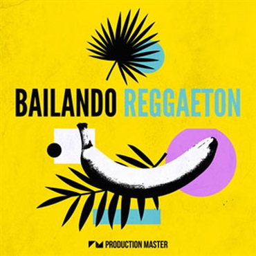 BAILANDO REGGAETON(オンライン納品)(2時間以内に納品)