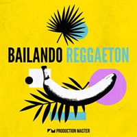 BAILANDO REGGAETON(オンライン納品)(2時間以内に納品)
