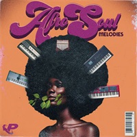 AFRO SOUL MELODIES(オンライン納品)(2時間以内に納品)