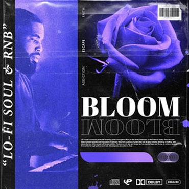 PRIME LOOPS BLOOM(オンライン納品)(2時間以内に納品)