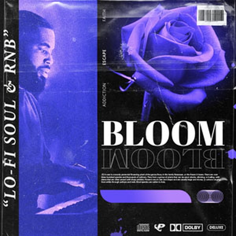 PRIME LOOPS BLOOM(オンライン納品)(2時間以内に納品)