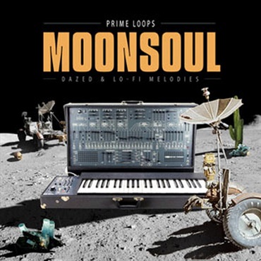 PRIME LOOPS MOONSOUL(オンライン納品)(2時間以内に納品)