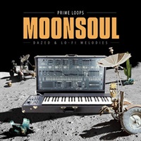 MOONSOUL(オンライン納品)(2時間以内に納品)