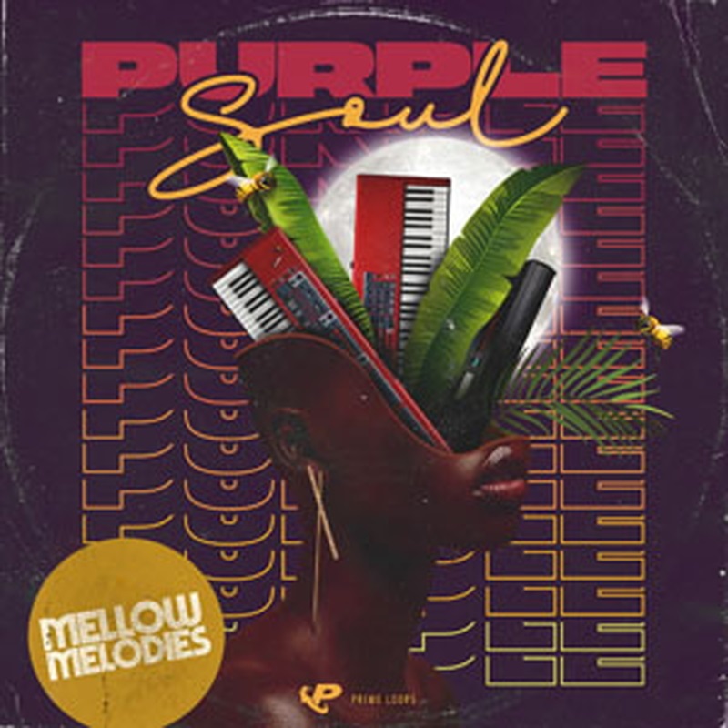 PRIME LOOPS PURPLE SOUL(オンライン納品)(2時間以内に納品)