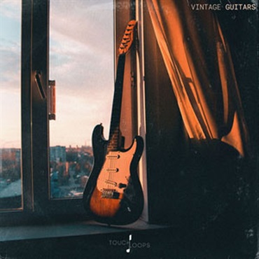 TOUCH LOOPS VINTAGE GUITARS(オンライン納品)(2時間以内に納品)
