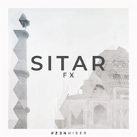 SITAR FX(オンライン納品)(2時間以内に納品)